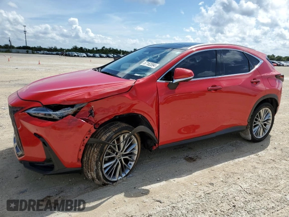 2022 Lexus NX with VIN JTJHGCEZ1N2000556, listed as a Copart auction lot 67162094 with 59,299 mi miles and Salvage Title. Bid and sale history available at carsss.com. Image 1.