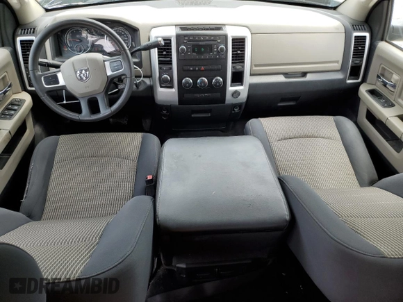 2010 Dodge 1500 SLT with VIN 1D7RV1CP1AS174131, listed as a Copart auction lot 60446704 with 164,653 mi miles and Non Repairable. Bid and sale history available at DreamBid. Image 8.
