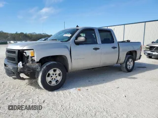 2009 Chevrolet Silverado 1500 LS with VIN 2GCEC13C391140750, listed as a Copart auction lot 89070065 with 170,957 mi miles and Salvage Title. Bid and sale history available at DreamBid. Image 1.