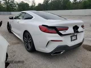 2019 BMW 8 Series M850i xDrive with VIN WBABC4C53KBJ35783, listed as a Copart auction lot 46775033 with 0 mi miles. Bid and sale history available at carsss.com. Image 2.