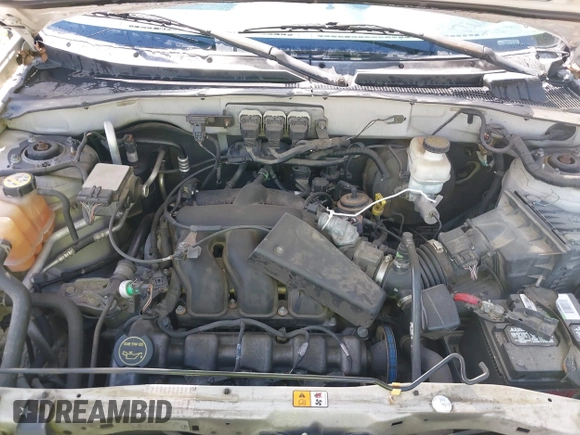 2006 Ford Escape XLT with VIN 1FMYU93106KA12173, listed as a IAAI auction lot 42176724 with 219,471 mi miles and . Bid and sale history available at DreamBid. Image 10.