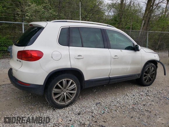 2013 Volkswagen Tiguan SE with VIN WVGAV7AX1DW527053, listed as a Copart auction lot 55934895 with 202,761 mi miles and Clean title. Bid and sale history available at DreamBid. Image 3.