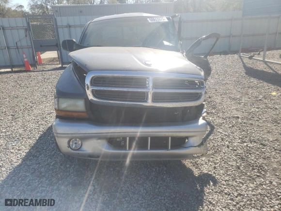 2002 Dodge Dakota SLT with VIN 1B7HL48NX2S512339, listed as a Copart auction lot 50911075 with 0 mi miles and Salvage Title. Bid and sale history available at carsss.com. Image 5.