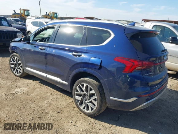 2022 Hyundai Santa Fe Calligraphy with VIN 5NMS54ALXNH463118, listed as a IAAI auction lot 41693031 with 44,593 mi miles. Bid and sale history available at carsss.com. Image 3.