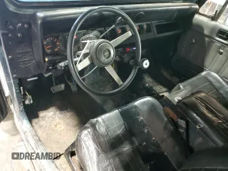 1994 Jeep Wrangler z VIN 1J4FY29S2RP471794, wystawiony jako Copart lot #47488005 z przebiegiem 165 900 mil mil oraz Nie do naprawy • Non repairable. Historia ofert i sprzedaży dostępna na DreamBid. Obrazek 8.