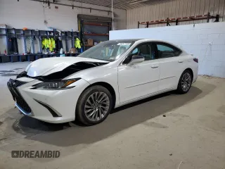 2020 Lexus ES 350 Luxury with VIN 58AEZ1B1XLU060005, listed as a Copart auction lot 83247164 with 61,128 mi miles and Salvage title. Bid and sale history available at DreamBid. Image 1.
