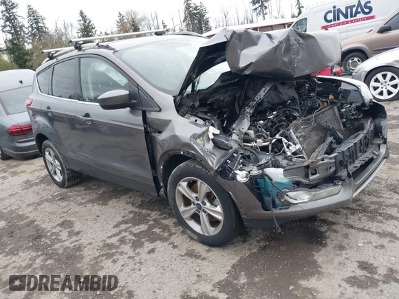 2013 Ford Escape SE with VIN 1FMCU9G92DUA54761, listed as a IAAI auction lot 41105062 with 131,767 mi miles. Bid and sale history available at carsss.com. Image 1.