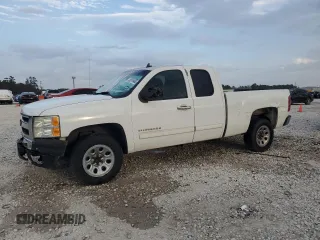 2010 Chevrolet Silverado 1500 LS with VIN 1GCSCREA9AZ272646, listed as a Copart auction lot 48374965 with 290,276 mi miles and Salvage Title. Bid and sale history available at carsss.com. Image 1.