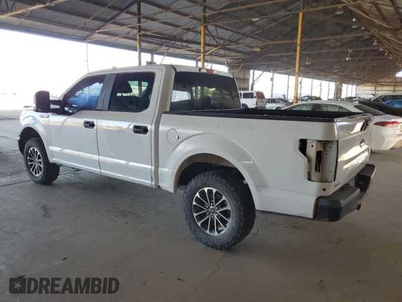2019 Ford F-150 with VIN 1FTEW1P40KKC25240, listed as a Copart auction lot 62955415 with Not provided miles and Clean title. Bid and sale history available at DreamBid. Image 2.