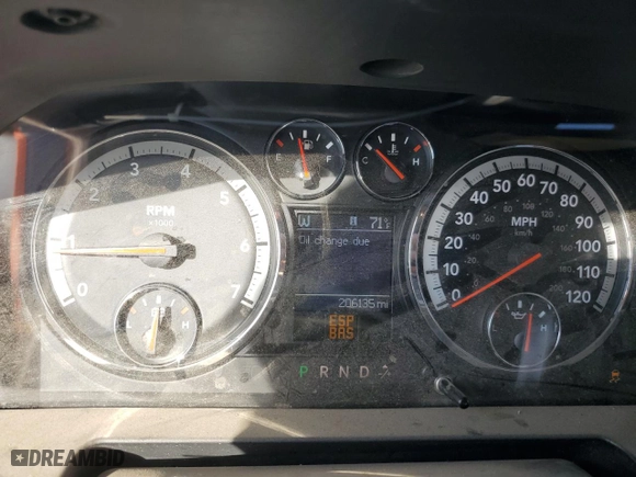 2010 Dodge Ram 1500 SLT with VIN 1D7RB1CP0AS203479, listed as a Copart auction lot 73528044 with 206,135 mi miles and Salvage Title. Bid and sale history available at carsss.com. Image 9.