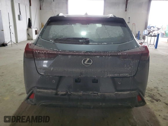 2023 Lexus UX 250h F Sport with VIN JTHB9JBH2P2066473, listed as a Copart auction lot 55363575 with 13,361 mi miles and Salvage Title. Bid and sale history available at DreamBid. Image 6.