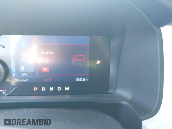 2024 Ford Bronco with VIN 1FMDE4CP3RLA28000, listed as a IAAI auction lot 41575878 with 11,631 mi miles and . Bid and sale history available at DreamBid. Image 7.