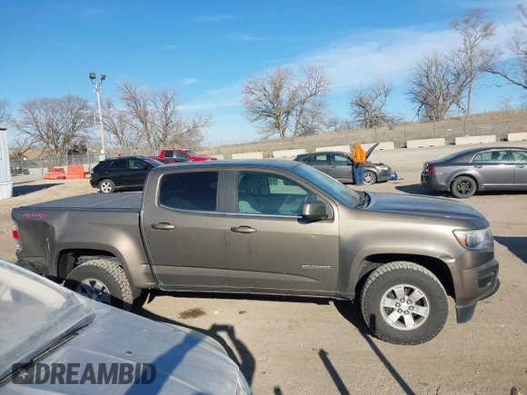 2016 Chevrolet Colorado 4WD WT with VIN 1GCGTBE39G1310334, listed as a IAAI auction lot 41109761 with 178,732 mi miles. Bid and sale history available at carsss.com. Image 13.