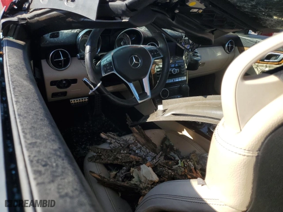 2014 Mercedes-Benz SLK-Class SLK 250 with VIN WDDPK4HA9EF082432, listed as a Copart auction lot 76993864 with 109,831 mi miles and Salvage Title. Bid and sale history available at carsss.com. Image 8.