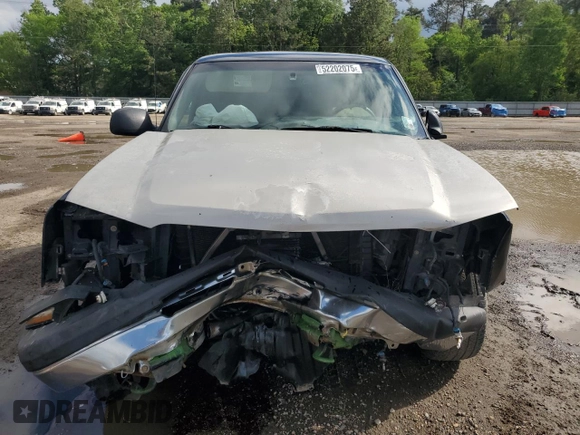 2004 Chevrolet Silverado 1500 LS with VIN 2GCEC19T441217495, listed as a Copart auction lot 52202075 with Not Provided miles and Salvage Title. Bid and sale history available at DreamBid. Image 5.
