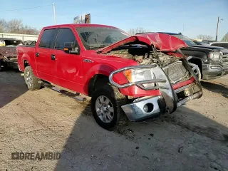 2009 Ford F-150 XL with VIN 1FTRW14849FA05790, listed as a Copart auction lot 87194234 with 212,721 mi miles and Salvage Title. Bid and sale history available at DreamBid. Image 11.