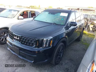 2024 Kia Telluride EX X-Line with VIN 5XYP3DGC1RG500768, listed as a IAAI auction lot 41587785 with 11,797 mi miles and . Bid and sale history available at DreamBid. Image 18.