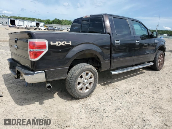 2014 Ford F-150 XL with VIN 1FTFW1EF4EKD49721, listed as a Copart auction lot 61695615 with 217,493 mi miles and Salvage title. Bid and sale history available at DreamBid. Image 3.