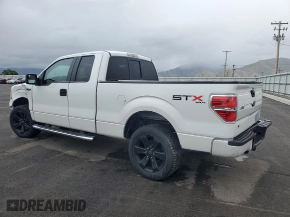 2010 Ford F-150 XL с VIN 1FTEX1E85AKE55051, выставлен на аукционе Copart как лот 56351815 с пробегом 161 481 миль миль и Списание • Salvage title. История ставок и продаж доступна на DreamBid. Изображение 2.