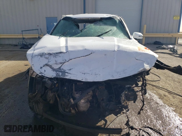 2023 Kia Telluride S with VIN 5XYP6DGCXPG341107, listed as a Copart auction lot 46181485 with Not Provided miles and Non Repairable. Bid and sale history available at DreamBid. Image 5.