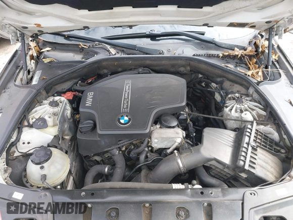 2013 BMW 5 Series 528i with VIN WBAXG5C5XDDY31063, listed as a IAAI auction lot 41713713 with Not Provided miles and . Bid and sale history available at carsss.com. Image 10.