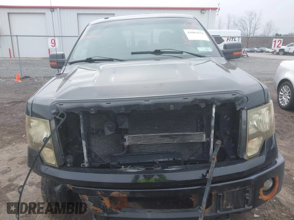 2014 Ford F-150 XL with VIN 1FTFW1ET9EFB11863, listed as a IAAI auction lot 42003611 with 119,961 mi miles and . Bid and sale history available at DreamBid. Image 12.