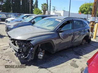 2024 Hyundai Tucson SEL with VIN 5NMJB3DE2RH342066, listed as a Copart auction lot 46492795 with 0 mi miles and Clean Title. Bid and sale history available at carsss.com. Image 1.