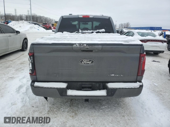 2024 Ford F-150 XLT with VIN 1FTFW3LD4RFA64867, listed as a Copart auction lot 45149695 with 3,869 mi miles and Clean Title. Bid and sale history available at carsss.com. Image 6.