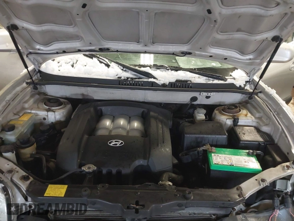 2003 Hyundai Santa Fe GLS with VIN KM8SC73D83U428723, listed as a IAAI auction lot 41305370 with 244,579 mi miles. Bid and sale history available at carsss.com. Image 10.