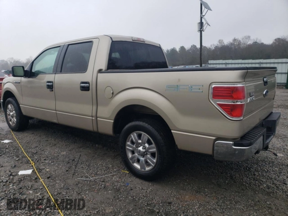 2009 Ford F-150 XL with VIN 1FTRW12809FA24596, listed as a Copart auction lot 43054685 with 102,507 mi miles and Salvage Title. Bid and sale history available at carsss.com. Image 2.