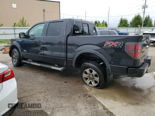 2013 Ford F-150 XL with VIN 1FTFW1ET8DFB48157, listed as a Copart auction lot 57127695 with 257,750 mi miles and Clean title. Bid and sale history available at DreamBid. Image 2.