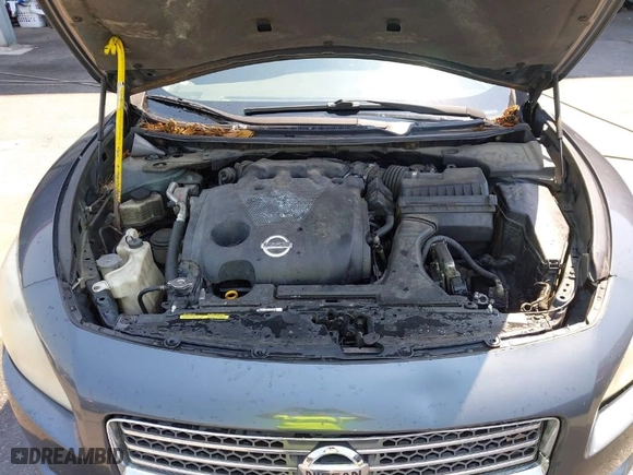 2009 Nissan Maxima 3.5 SV w/Sport Pkg with VIN 1N4AA51E69C821422, listed as a IAAI auction lot 41979055 with 294,317 mi miles. Bid and sale history available at carsss.com. Image 10.