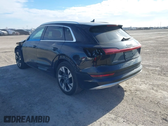2022 Audi e-tron Premium with VIN WA1AAAGE6NB030134, listed as a IAAI auction lot 41209620 with 27,848 mi miles. Bid and sale history available at carsss.com. Image 3.