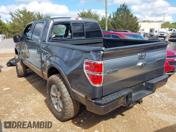 2013 Ford F-150 XL with VIN 1FTFW1ET7DFC35192, listed as a IAAI auction lot 42005378 with 146,617 mi miles. Bid and sale history available at carsss.com. Image 3.