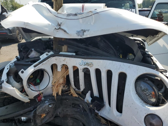 2017 Jeep Wrangler Unlimited Rubicon with VIN 1C4BJWFG7HL557799, listed as a Copart auction lot 77107544 with 172,022 mi miles and Salvage Title. Bid and sale history available at carsss.com. Image 11.
