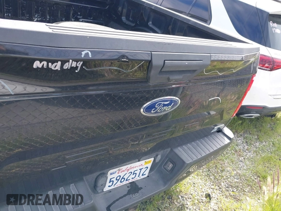 2019 Ford F-150 XL with VIN 1FTEW1EP4KKD73243, listed as a IAAI auction lot 41456076 with 114,198 mi miles. Bid and sale history available at carsss.com. Image 17.