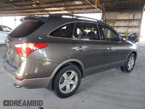 2009 Hyundai Veracruz GLS with VIN KM8NU13CX9U082813, listed as a Copart auction lot 49633575 with 183,370 mi miles and Salvage title. Bid and sale history available at DreamBid. Image 3.