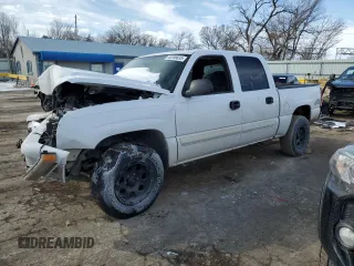 2006 Chevrolet Silverado 1500 LS with VIN 2GCEK13V961314935, listed as a Copart auction lot 48843765 with Not Provided miles and Salvage Title. Bid and sale history available at DreamBid. Image 1.