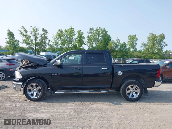 2009 Dodge 1500 SLT с VIN 1D3HV13T39S723883, выставлен на аукционе IAAI как лот 42357664 с пробегом 159 185 миль миль и . История ставок и продаж доступна на DreamBid. Изображение 15.
