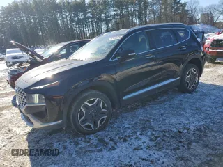 2023 Hyundai Santa Fe Limited with VIN 5NMS4DALXPH530998, listed as a Copart auction lot 42112275 with 31,054 mi miles and Clean Title. Bid and sale history available at carsss.com. Image 1.