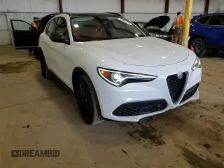 2019 Alfa Romeo Stelvio Ti Sport z VIN ZASPAKBN2K7C43312, wystawiony jako Copart lot #49851515 z przebiegiem 66 732 mil mil oraz Szkoda całkowita • Salvage title. Historia ofert i sprzedaży dostępna na DreamBid. Obrazek 14.