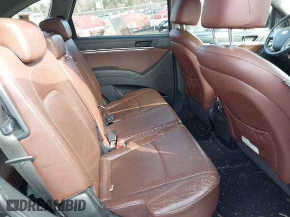2008 Hyundai Veracruz GLS with VIN KM8NU73C88U066210, listed as a IAAI auction lot 41870897 with 167,384 mi miles and . Bid and sale history available at DreamBid. Image 8.