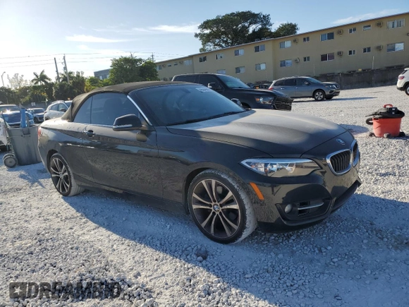 2016 BMW 2 Series 228i with VIN WBA1K9C59GV321555, listed as a Copart auction lot 49504985 with 124,471 mi miles and Salvage Title. Bid and sale history available at carsss.com. Image 4.