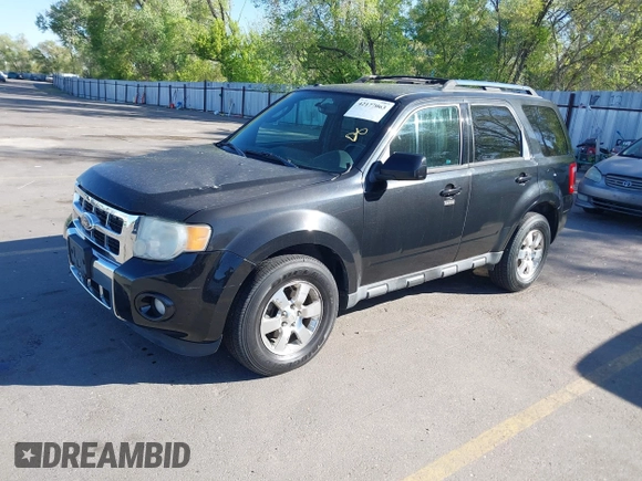 2011 Ford Escape Limited with VIN 1FMCU9EGXBKB66282, listed as a IAAI auction lot 42177063 with 244,515 mi miles. Bid and sale history available at carsss.com. Image 2.