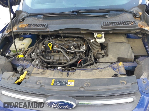 2013 Ford Escape SE with VIN 1FMCU0GX7DUD22231, listed as a IAAI auction lot 42542549 with 131,455 mi miles and . Bid and sale history available at DreamBid. Image 10.