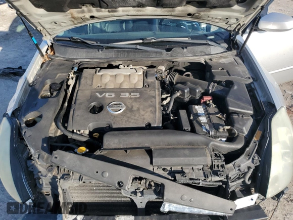 2004 Nissan Maxima SL with VIN 1N4BA41E74C885024, listed as a Copart auction lot 50556225 with 124,657 mi miles and Salvage Title. Bid and sale history available at carsss.com. Image 13.