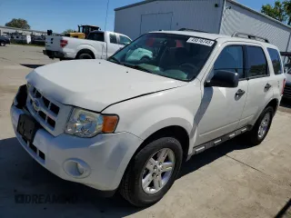2009 Ford Escape Hybrid with VIN 1FMCU59319KA79008, listed as a Copart auction lot 49516745 with 124,707 mi miles and Salvage title. Bid and sale history available at DreamBid. Image 1.
