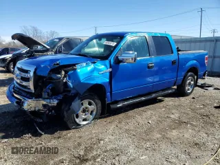 2013 Ford F-150 XL with VIN 1FTEW1CM4DFC15215, listed as a Copart auction lot 48983375 with 205,081 mi miles and Salvage Title. Bid and sale history available at carsss.com. Image 1.