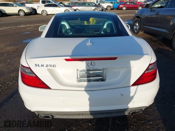 2015 Mercedes-Benz SLK-Class SLK 250 with VIN WDDPK4HA8FF111565, listed as a IAAI auction lot 41091420 with 37,873 mi miles. Bid and sale history available at carsss.com. Image 15.