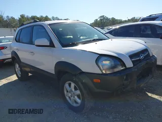 2005 Hyundai Tucson GLS with VIN KM8JN12DX5U087039, listed as a IAAI auction lot 41729782 with 166,174 mi miles. Bid and sale history available at carsss.com. Image 1.